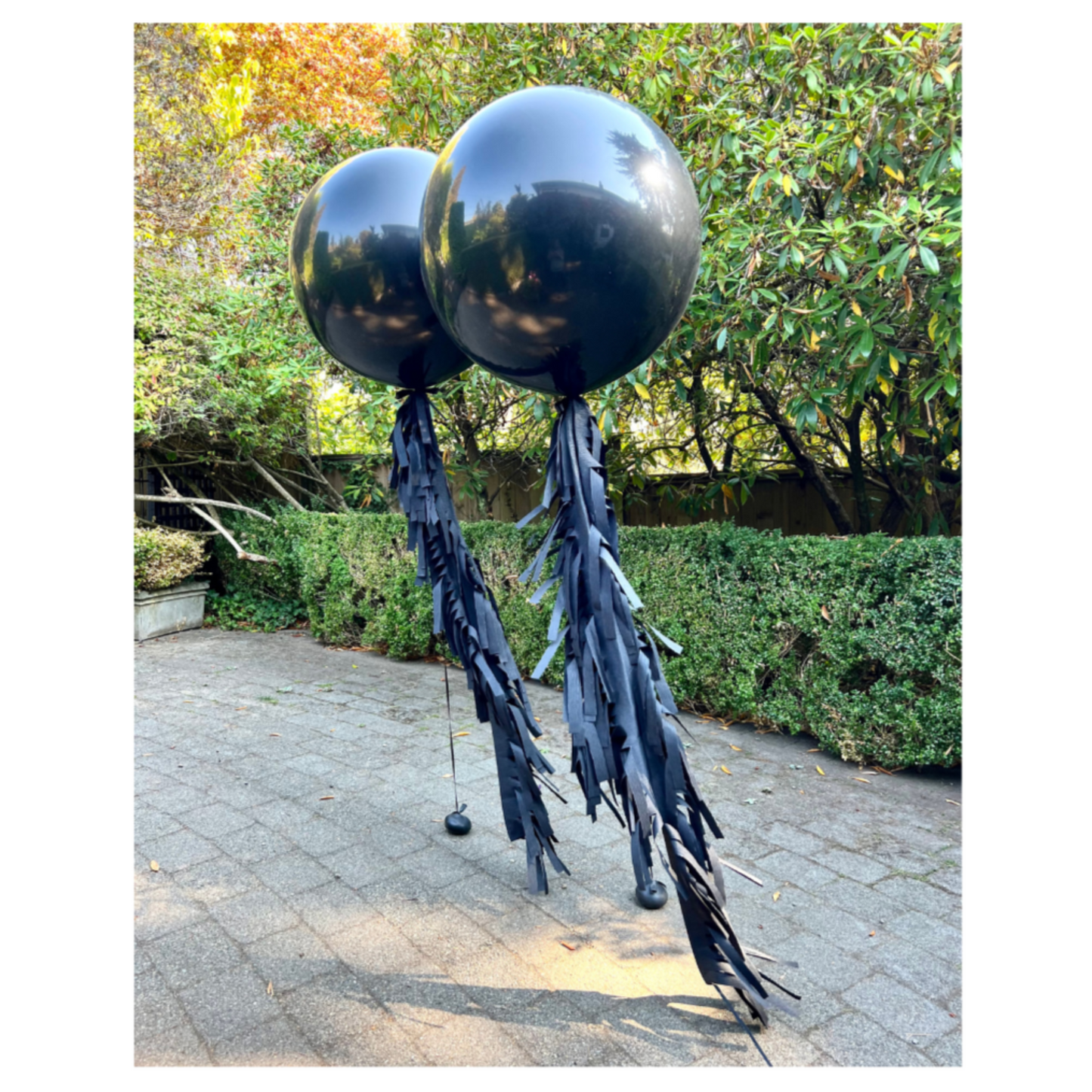 Jumbo Balloon w/ Full Fringe