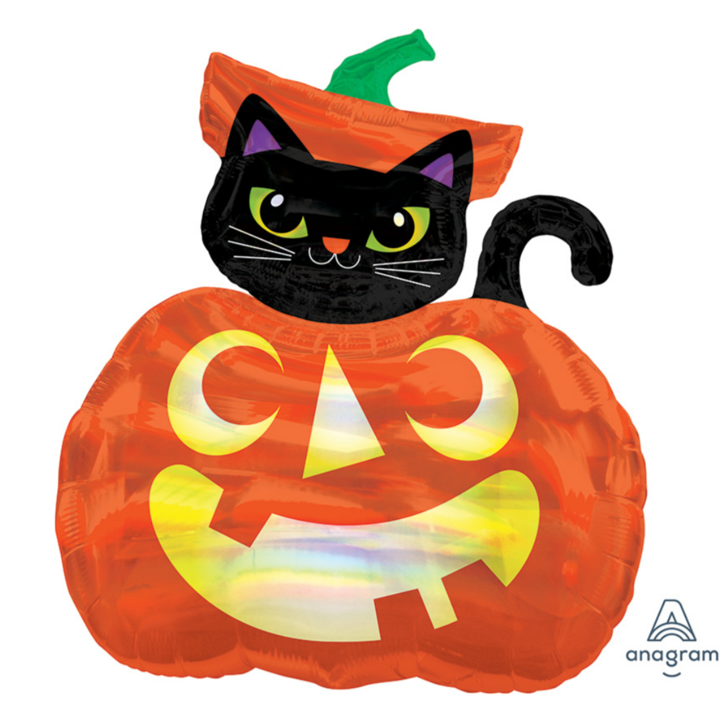 Iridescent Cat in Pumpkin