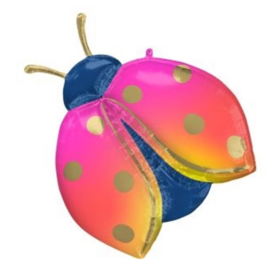Colourful Ladybug Balloon
